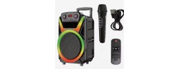 12INCH WITH WIRELESS MIC POWER 20W