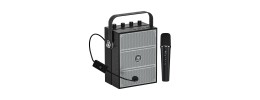 12 INCH WITH WIRELESS MIC WITH STAND POWER 60W