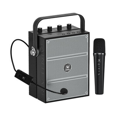 12 INCH WITH WIRELESS MIC WITH STAND POWER 60W