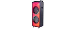 15"SPEAKER WITH WIRELESS MIC