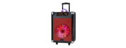 2X10"DJ WOOFER WITH DISCO BALL RECHARGEABLE BATTERY