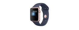 42mm Full Coverage RoseGold with Tempered Glass iWatch Screen Frame - Chromed Rose Gold+Blue