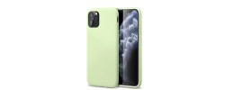 For iPhone 11 (XI6.1) Disc Chrome Circle With Chromed Tempered Glass Screen Protector PU UV Leather Case - Light Green