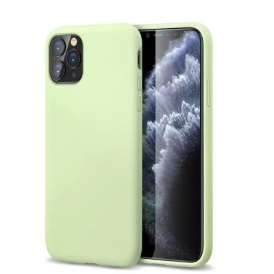 For iPhone 11 (XI6.1) Disc Chrome Circle With Chromed Tempered Glass Screen Protector PU UV Leather Case - Light Green