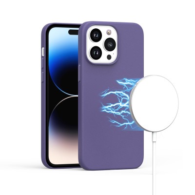 For iPhone 11 (XI6.1) DiscChrome Circle With Chromed Tempered Glass Screen Protector PU UV Leather Case - Purple