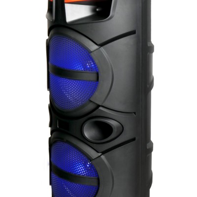 MEDIUM SPEAKER GD2809