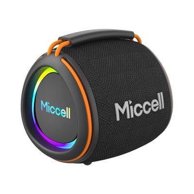 MICCELL SP69 300W WITH 2 MIC