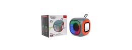 MINI LED SPEAKER WITH RECHARGEABLE BATTERY/ WATER RESISTANT